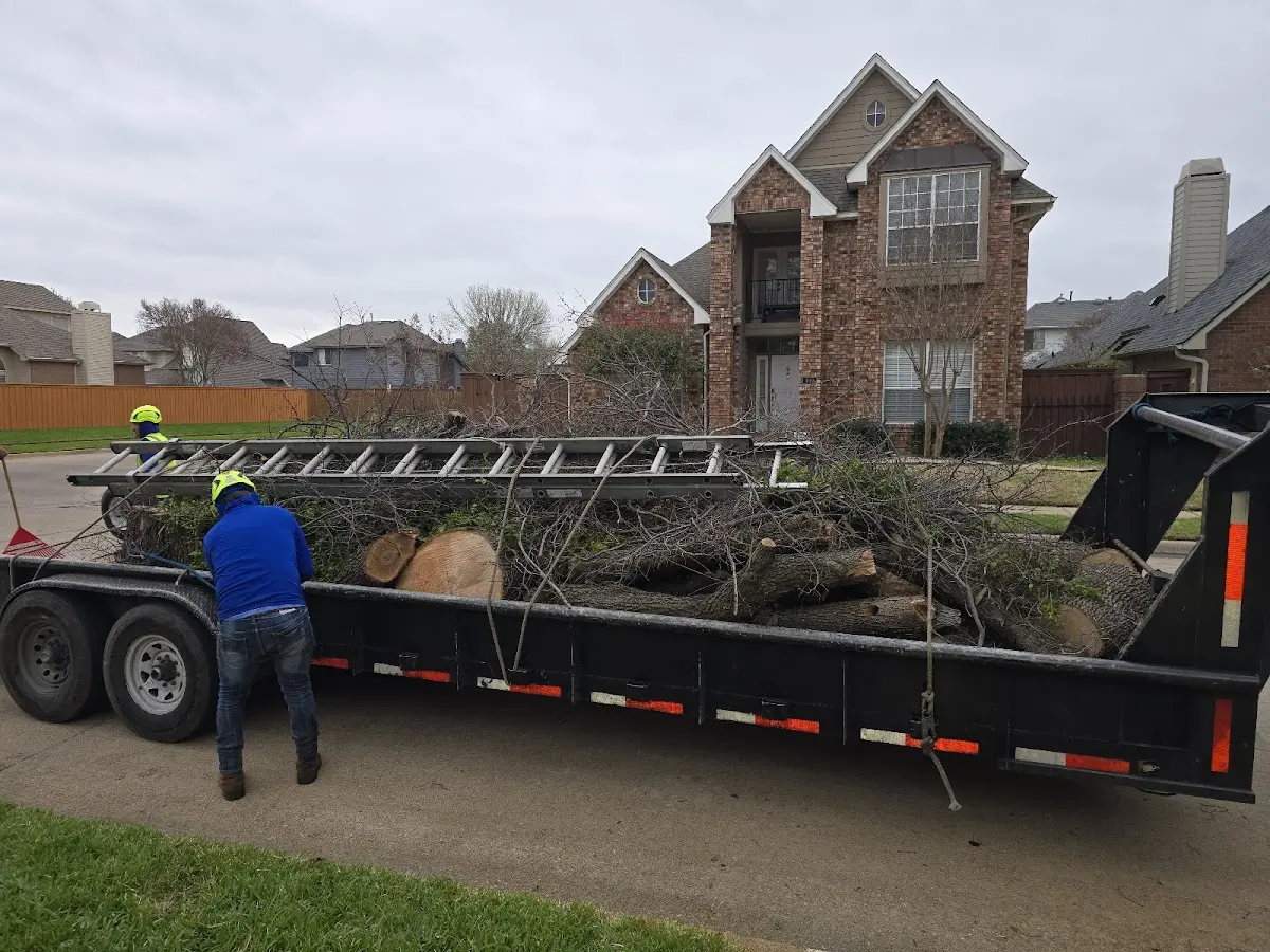 Expert Lot Clearing with proper safety equipment in Allenspark